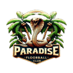 Floorball Paradise